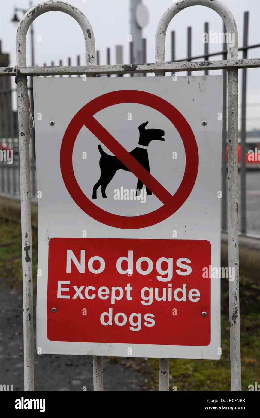 Pas de chiens sauf le signe de chiens-guides au Royaume-Uni.Panneau rouge et blanc sur les rails blancs. Banque D'Images