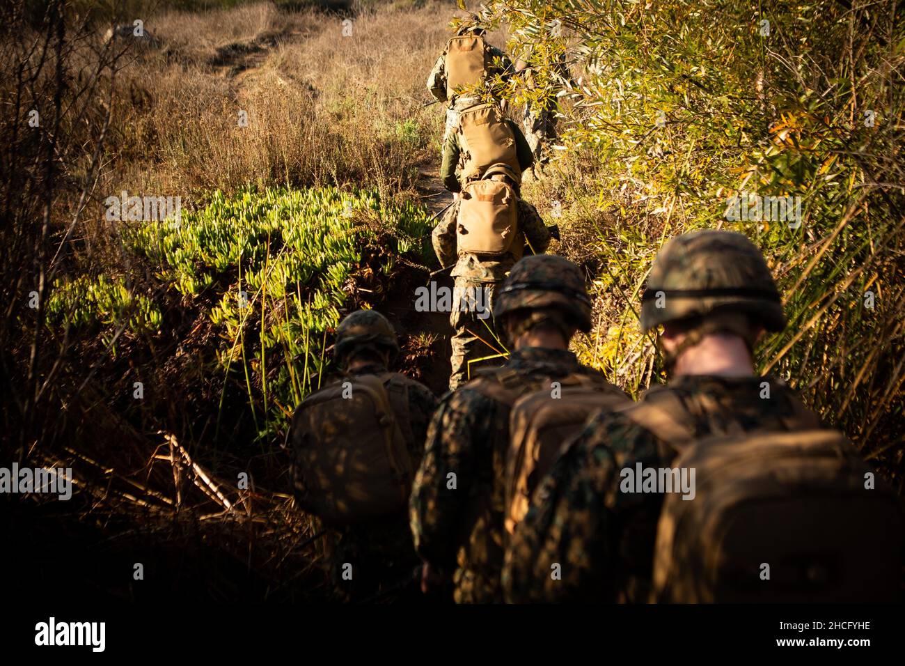 Tactical combat casualty care tccc course Banque de photographies et  d'images à haute résolution - Alamy