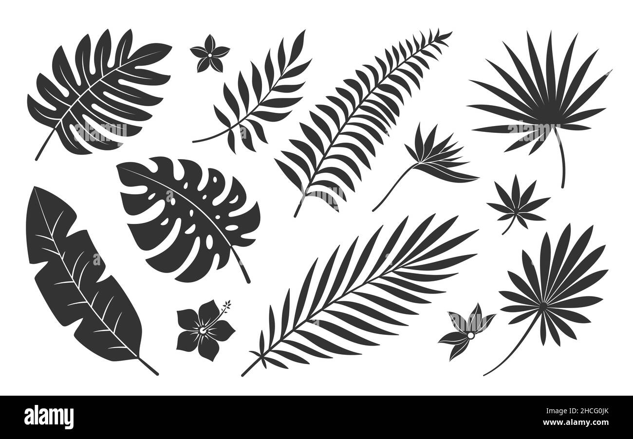 Ensemble de silhouette noire de plante de fleur de feuille tropicale.Timbre botanique tatouage empreinte badge motif tissu cosmétique site spa.Branche de palmier oiseau exotique paradis fleur hibiscus plumeria isolé sur blanc Illustration de Vecteur
