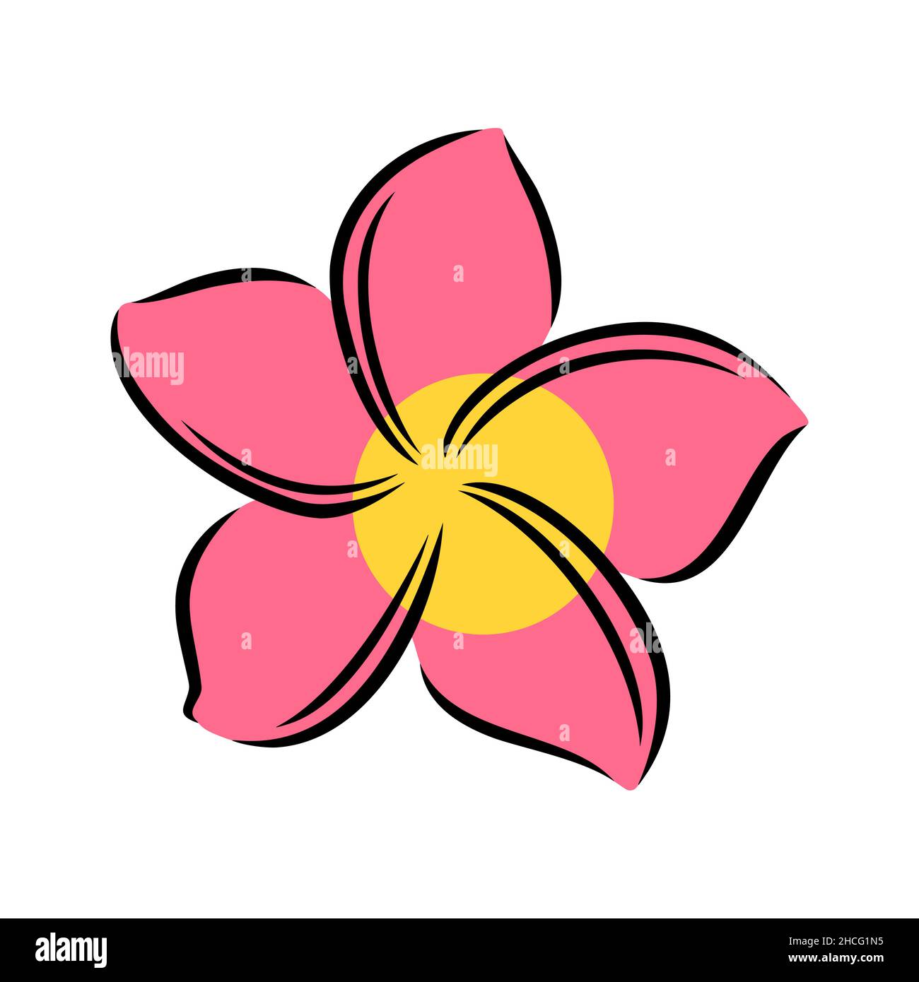 Frangipani ou plumeria fleurs exotiques d'été.Frangipani gravé isolé sur fond blanc.Illustration vectorielle Illustration de Vecteur
