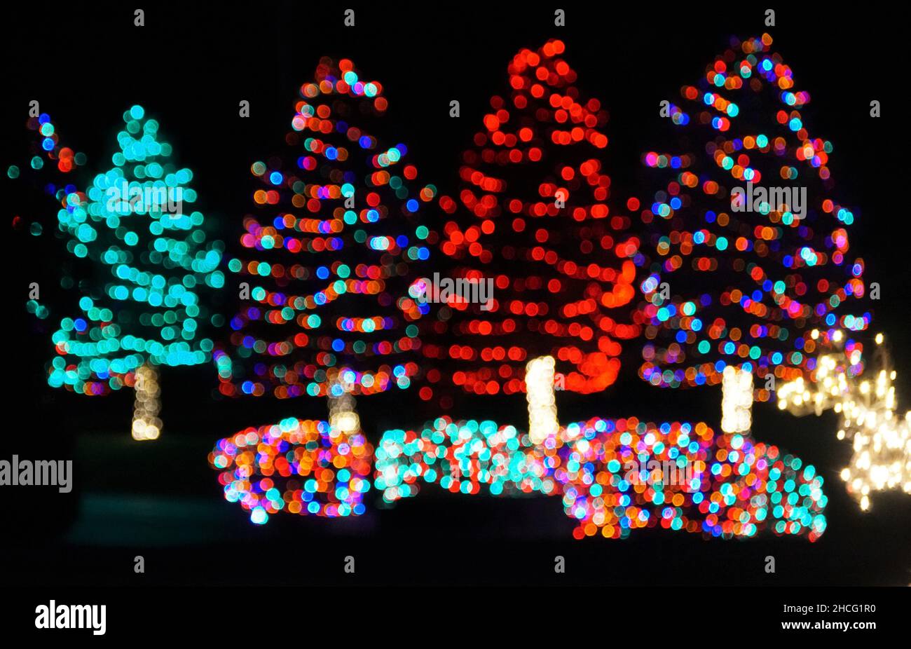 Vision floue des arbres décorés de lumières colorées à Nottingham, Pennsylvanie, États-Unis Banque D'Images