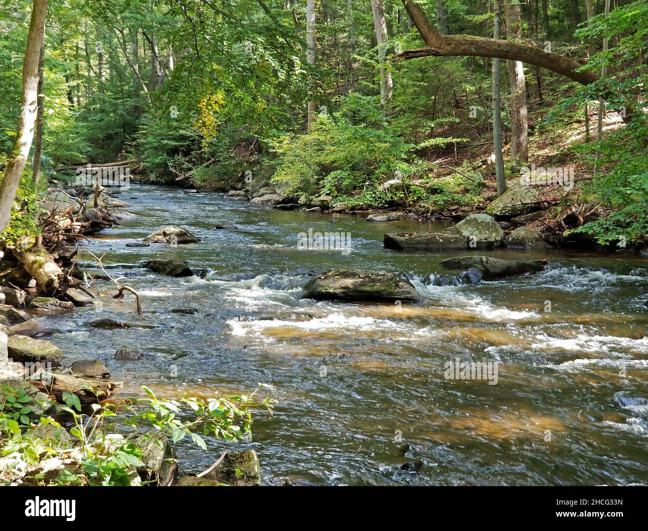 Scènes d'observation le long de la rivière Lamington au parc national Hacklebarney, à Chester, New Jersey, USA -03 Banque D'Images