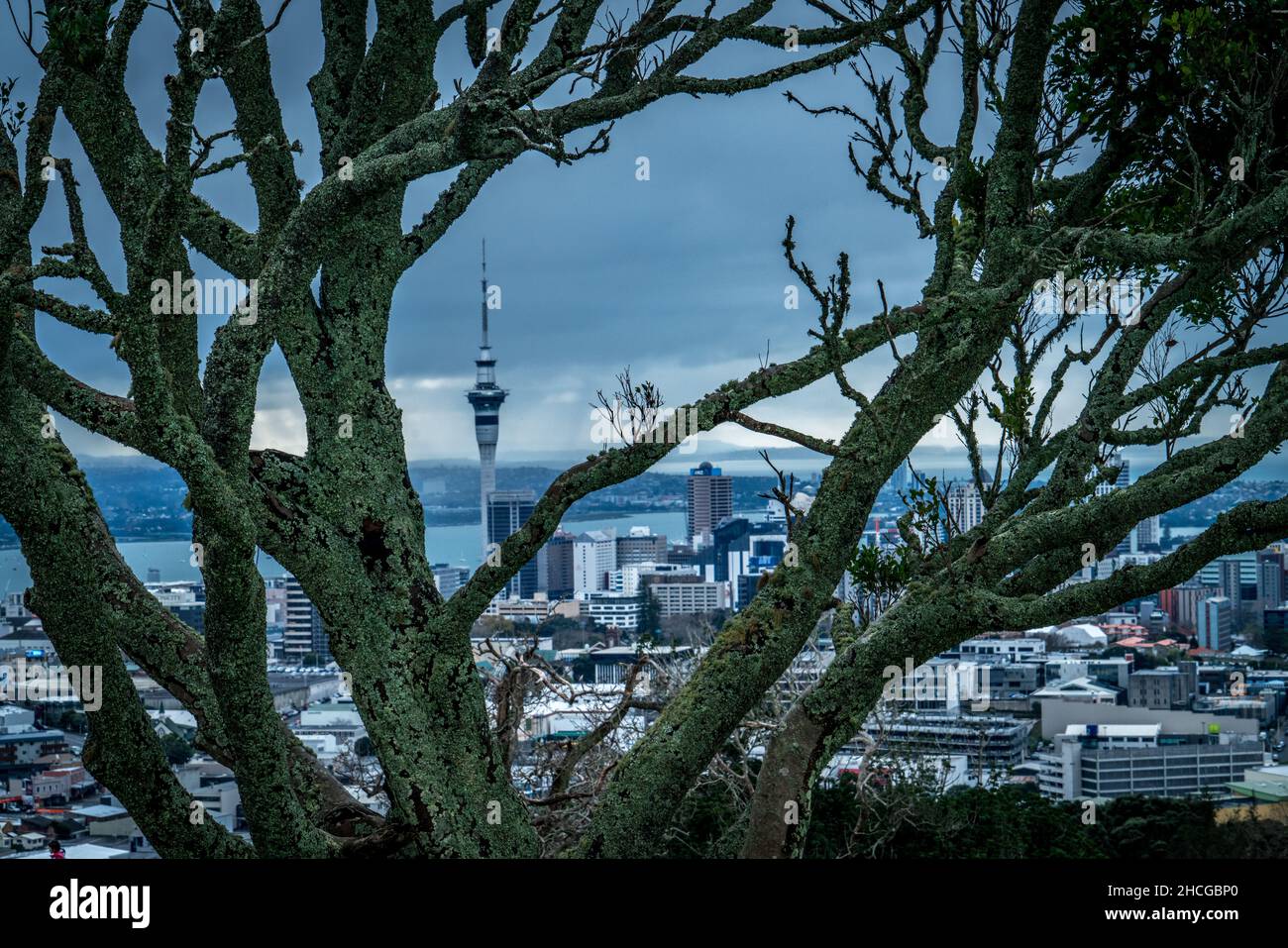 Auckland City depuis Mount Eden, Aukland, Nouvelle-Zélande. Banque D'Images