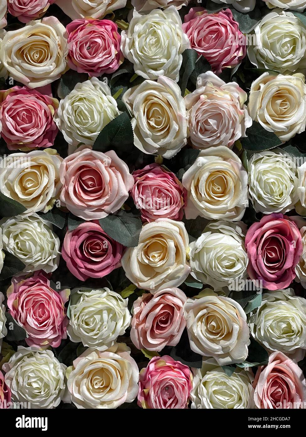 Fleurs bourgeons haut.Roses fond pour décorer la cérémonie de mariage Banque D'Images
