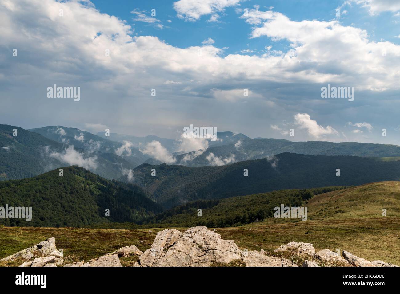 Montagne sauvage de Carpates en Roumanie couverte de forêts profondes et de prairies de montagne - vue sur la colline de Muncel dans les montagnes de Valcan en Roumanie Banque D'Images