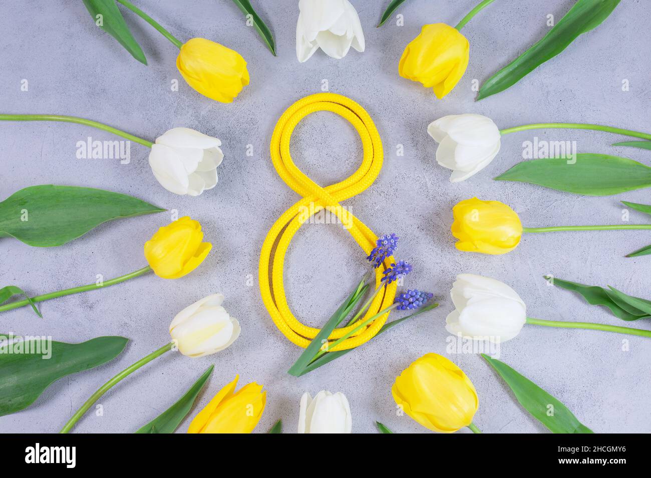 Tulipes blanches et jaunes et ruban jaune en forme de numéro 8.Composition de mars 8.Flat lay, vue de dessus. Banque D'Images