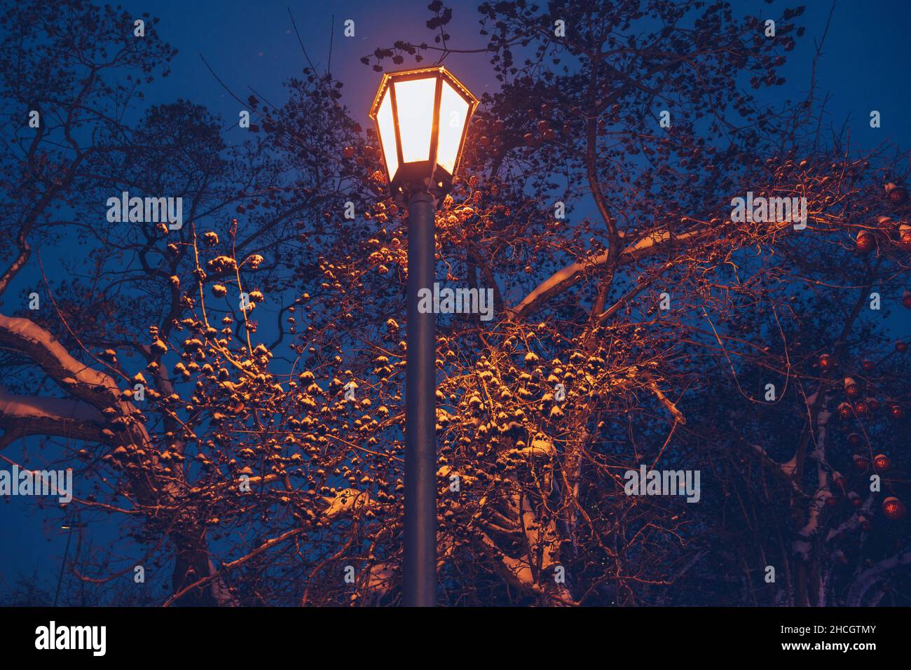 vue rapprochée de la lumière de la rue en soirée d'hiver Banque D'Images