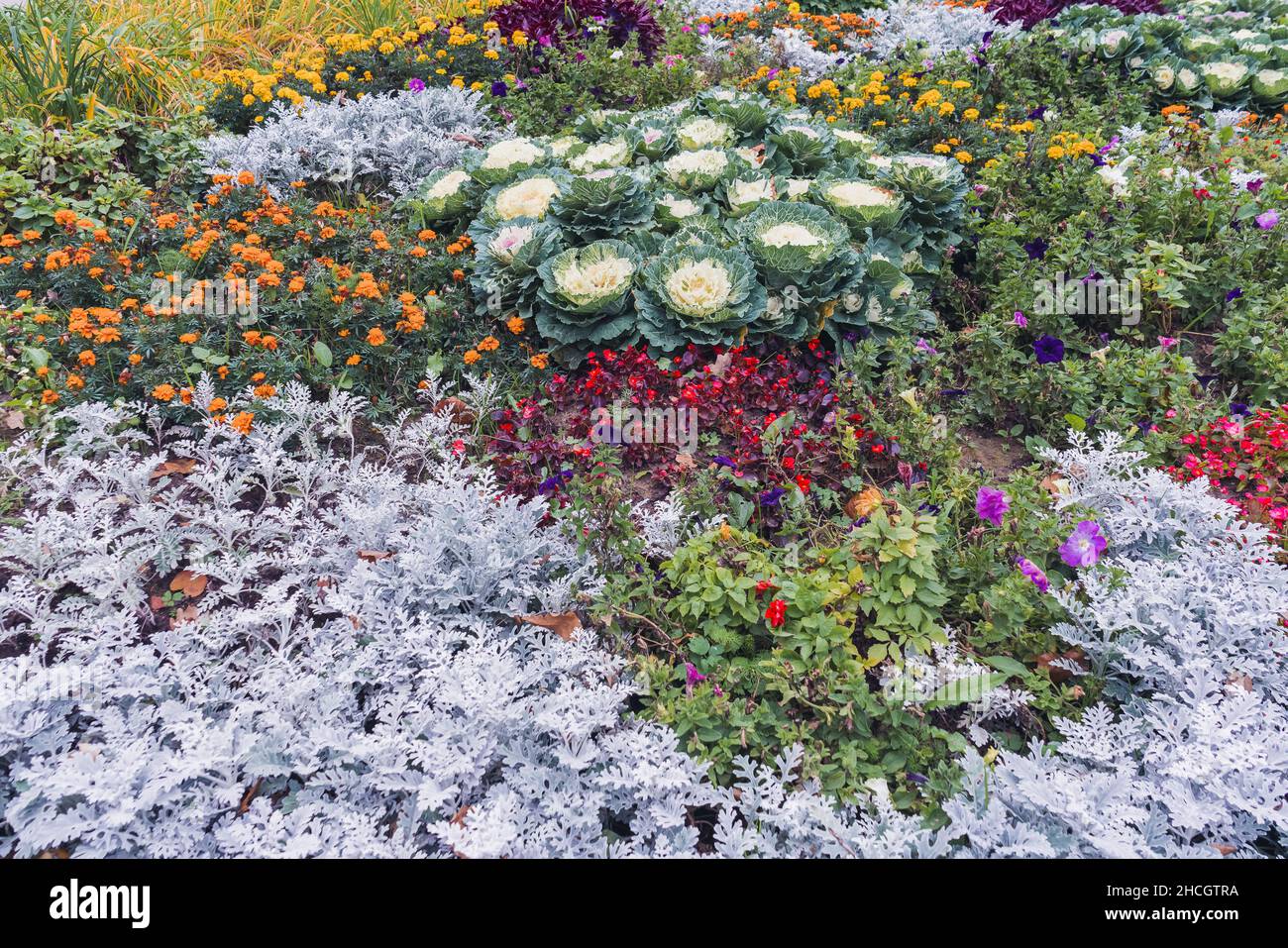 vue sur le lit de fleurs de la fin de l'été ou du début de l'automne avec plantes et fleurs de saison Banque D'Images