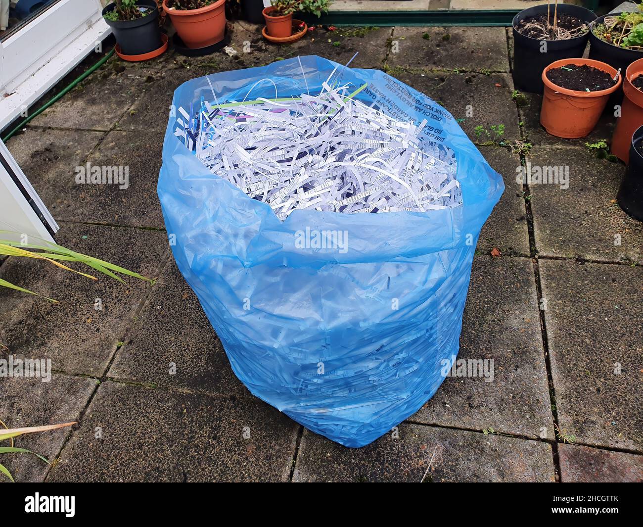 Documents en papier déchiquetés qui sont des déchets de déchets prêts pour le recyclage dans un sac en plastique bleu pour prévenir la fraude et le vol d'identité, stocker l'image de photo Banque D'Images