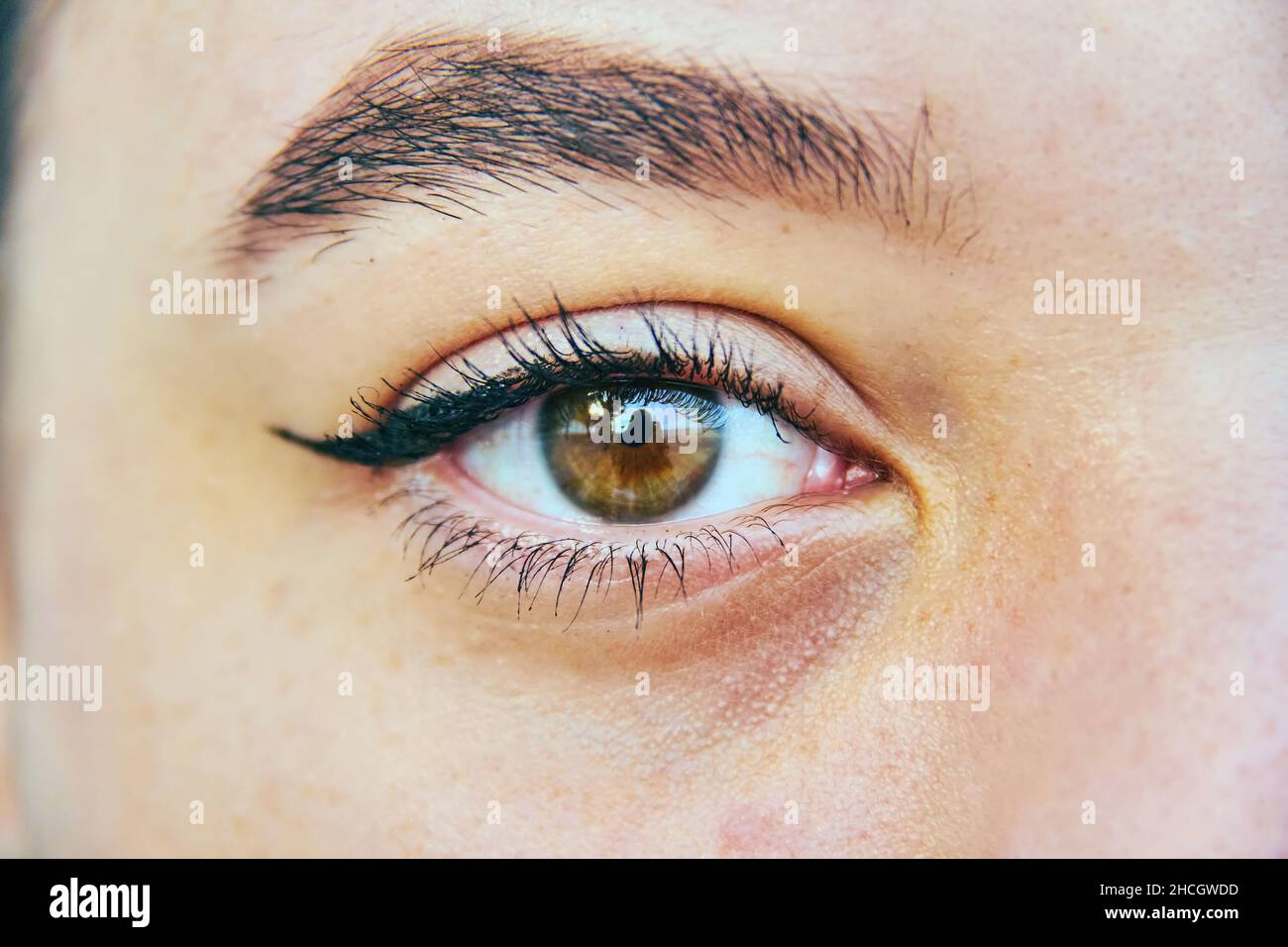 couleur brune de l'œil humain d'une fille Banque D'Images
