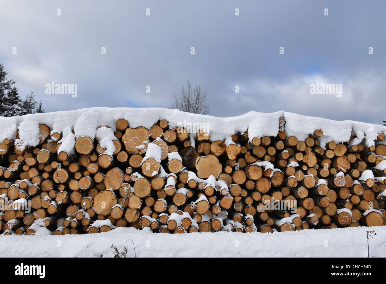 Une corde de bois en hiver Banque D'Images