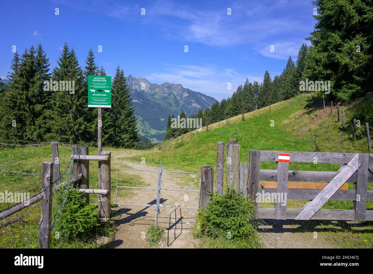 Porte et panneau d'avertissement au-dessus de Hirschgrubenalm, Grossarl,  Salzbourg, Autriche Photo Stock - Alamy
