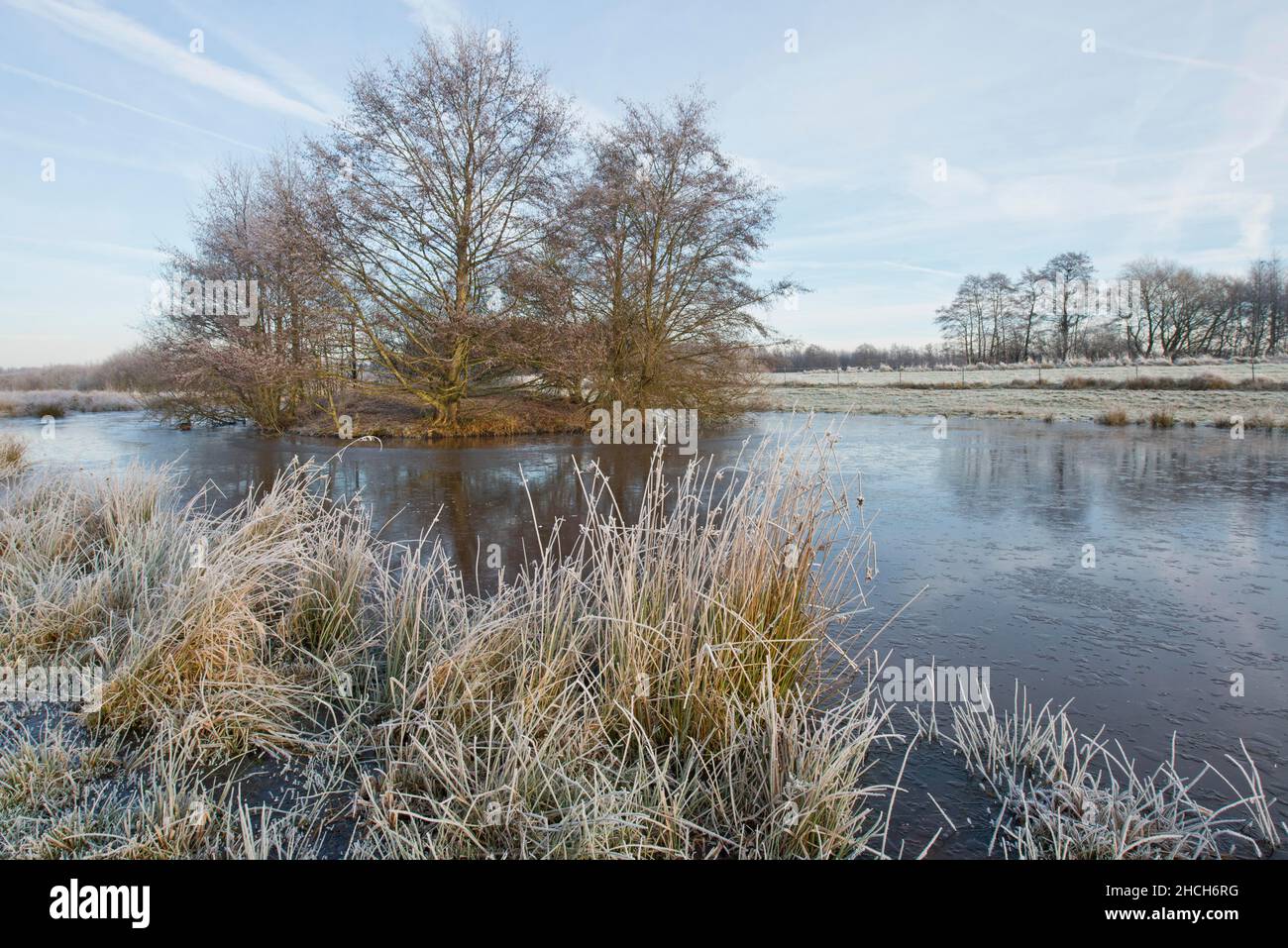 Bassin d'inondation EMS dans les gelées de houar, Emsland, Basse-Saxe, Allemagne Banque D'Images