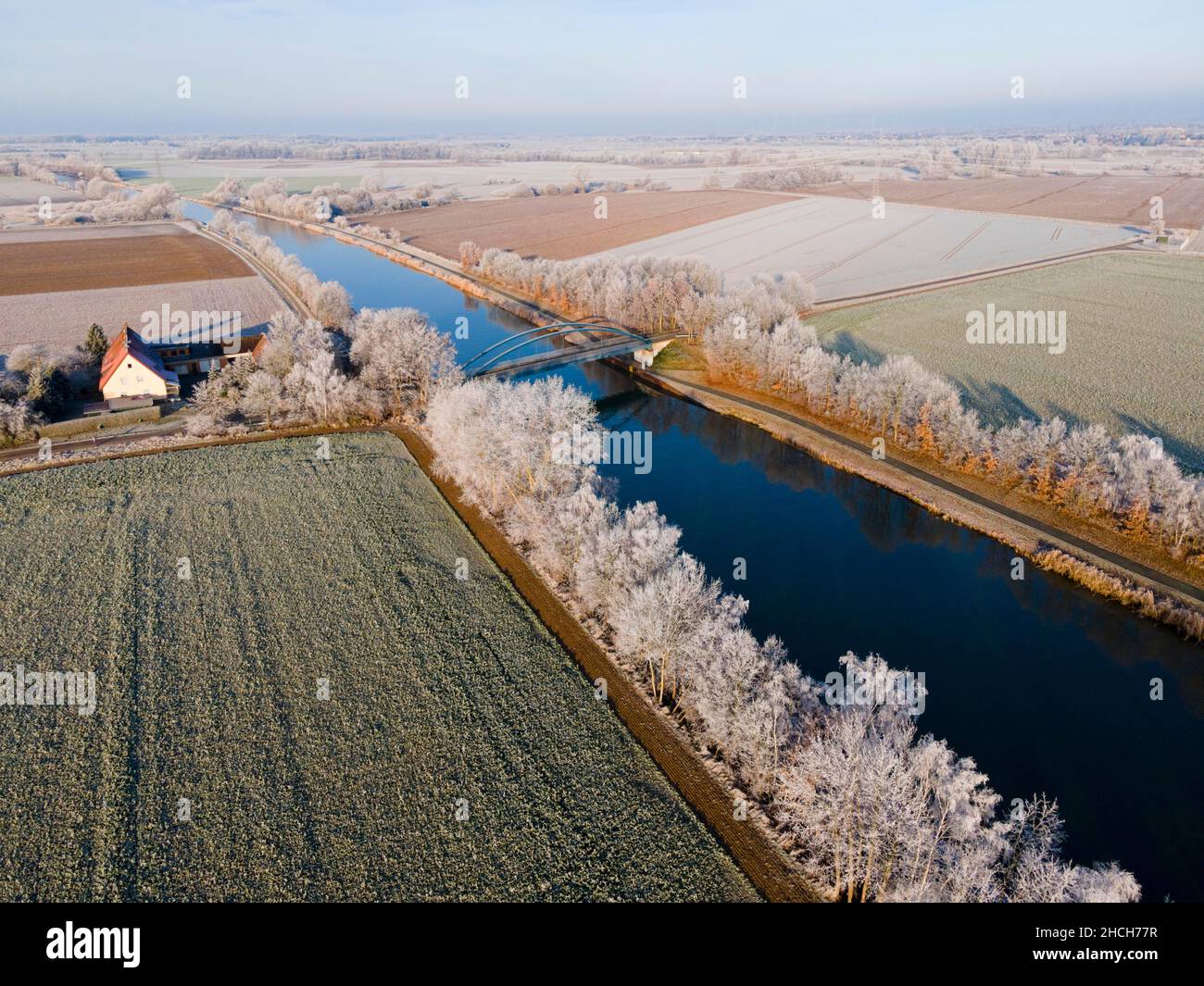 Tir de drone, haies, arbres sur le canal Mittelland, Berkum, district de peine, Basse-Saxe, Allemagne Banque D'Images