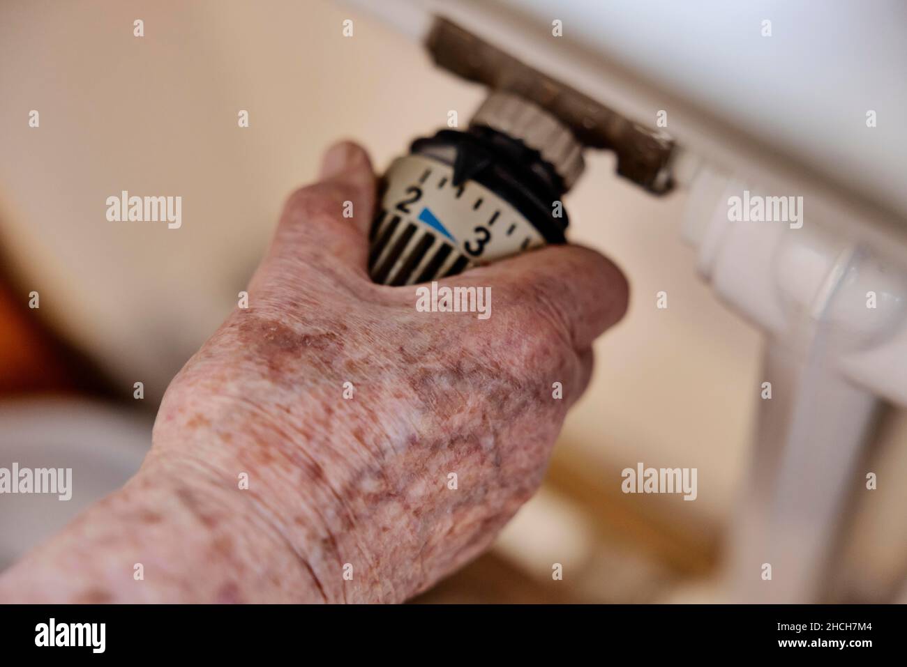 Main d'un senior avec des taches d'âge sur le thermostat d'un radiateur, Cologne, Rhénanie-du-Nord-Westphalie, Allemagne Banque D'Images