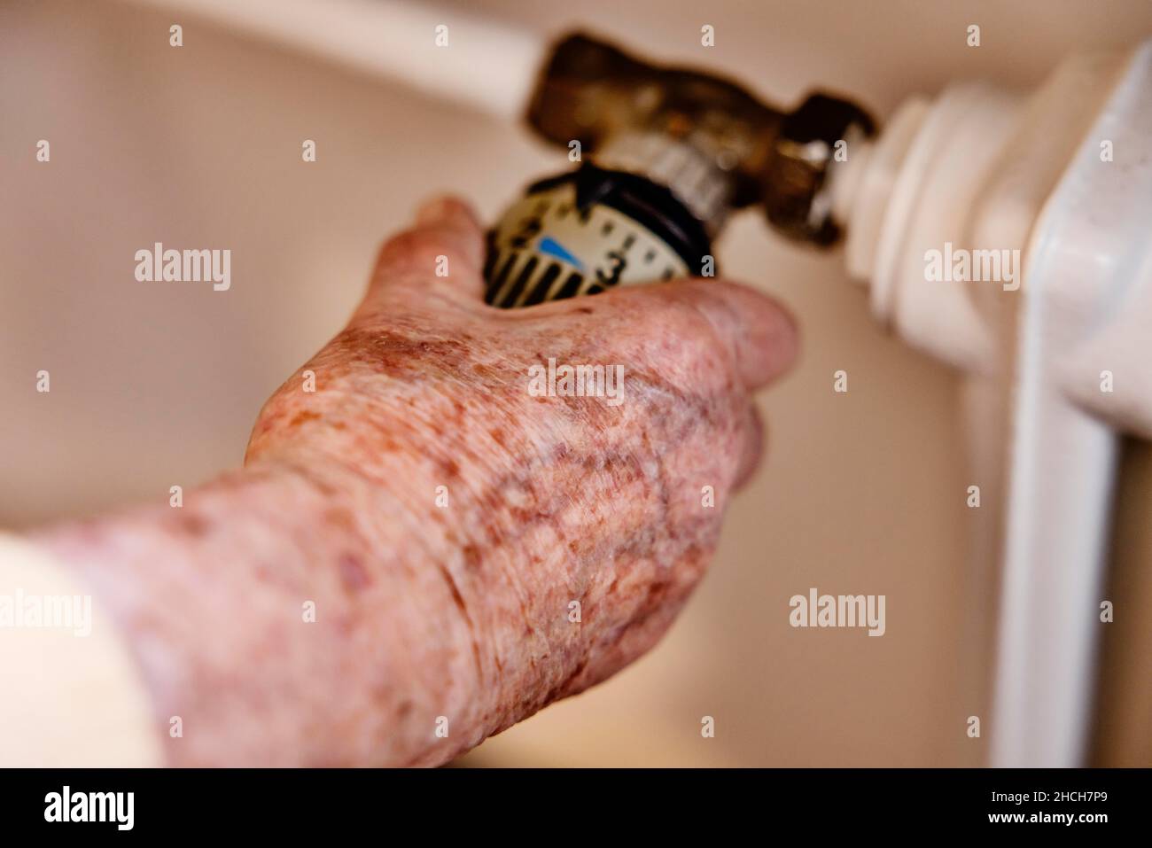 Main d'un senior avec des taches d'âge sur le thermostat d'un radiateur, Cologne, Rhénanie-du-Nord-Westphalie, Allemagne Banque D'Images