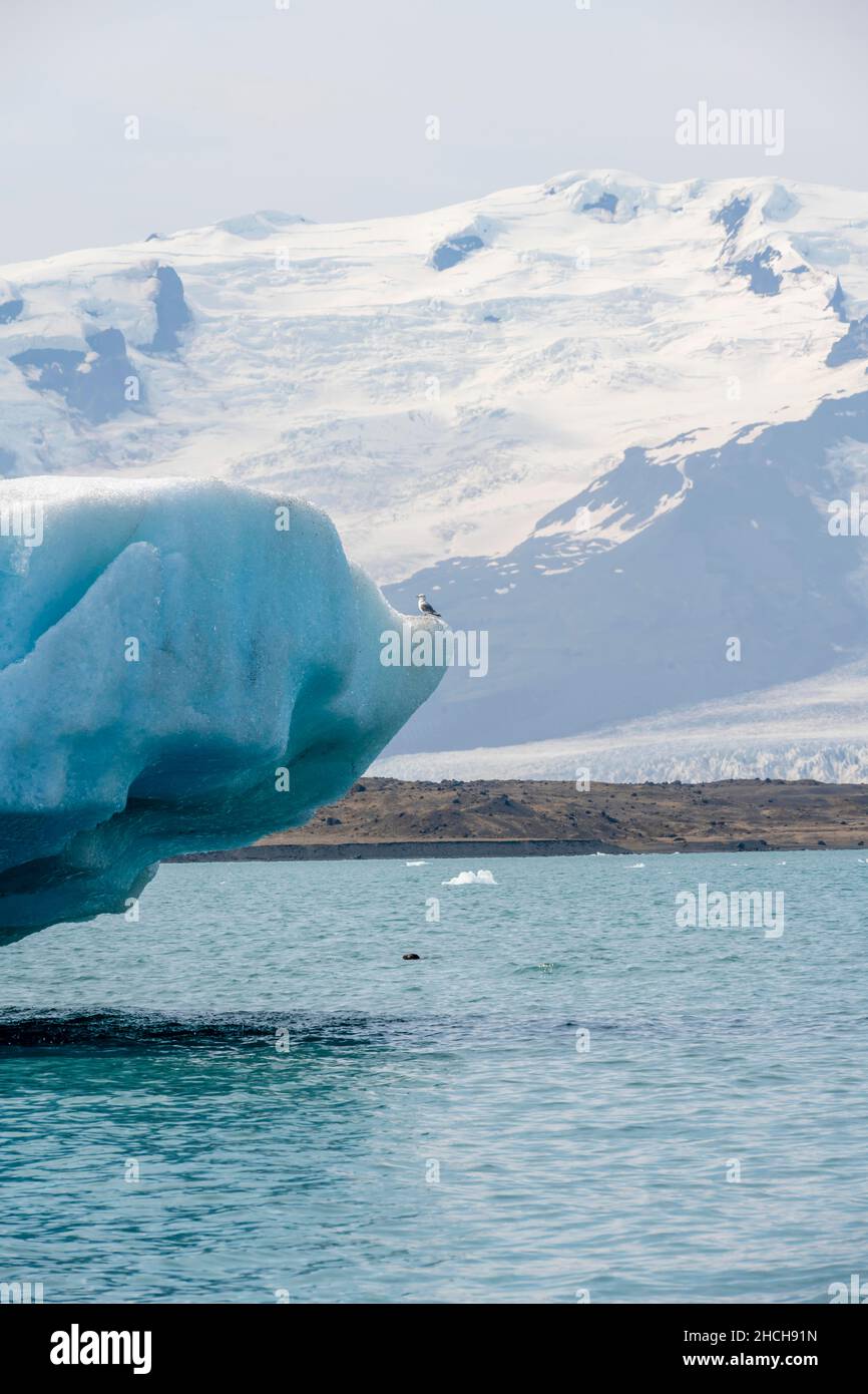 Lagon de glace de Joekulsarlon, banquise en face du glacier de Vatnajoekull, Hornafjoerour, Islande Banque D'Images