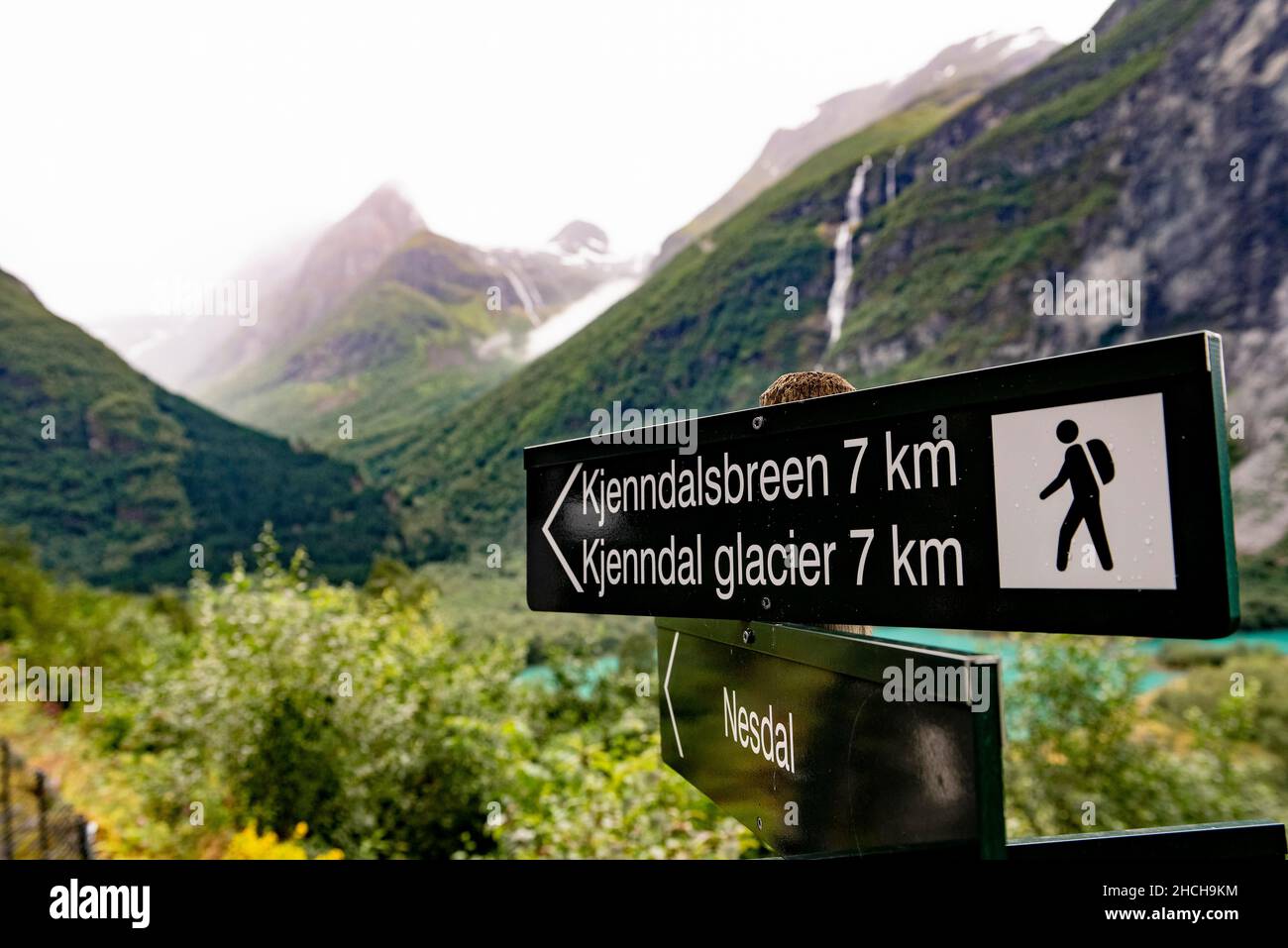 Panneau à Lovatnet près de Loen près du glacier Kjenndalsbreen, Norvège Banque D'Images