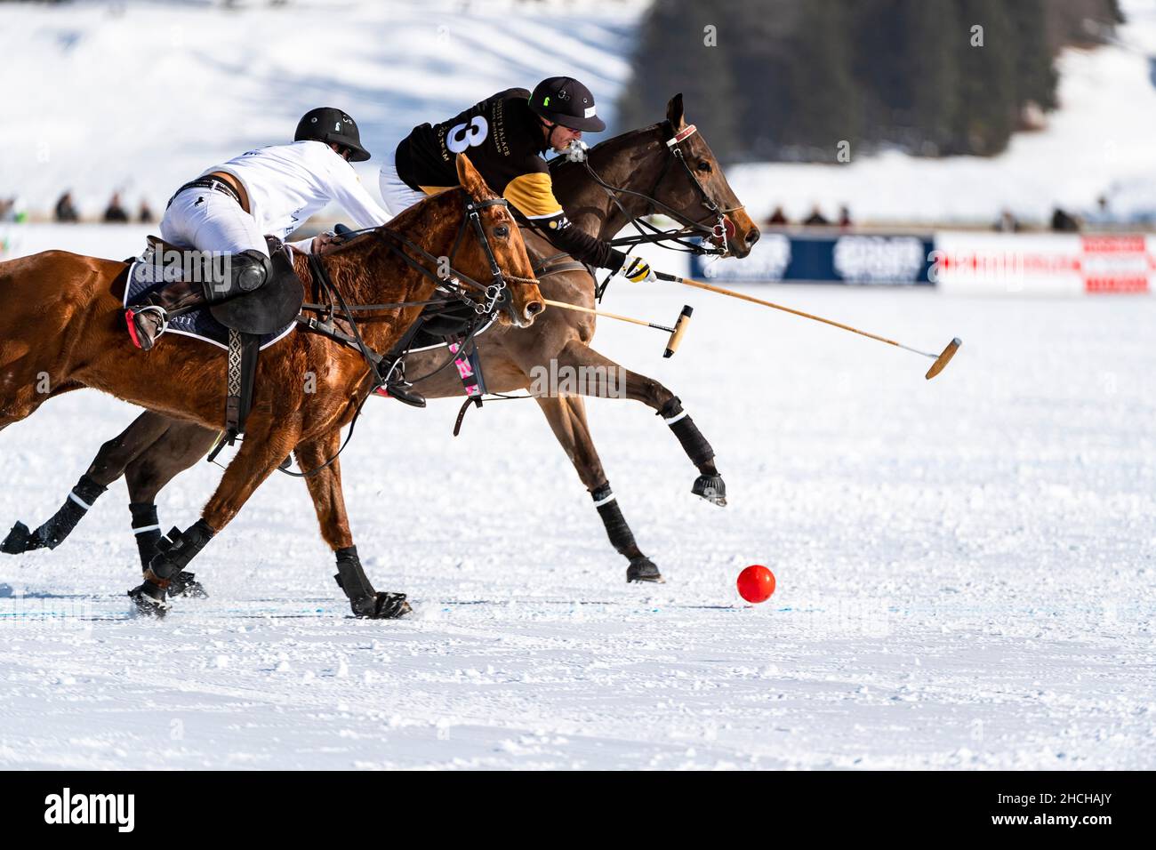 Valentin Novillo Astrada (blanc) de l'équipe Maserati batailles NIC Roldan (noir) de l'équipe Badrutt Palace Hotel pour le bal, coupe du monde Snow Polo 36th Banque D'Images