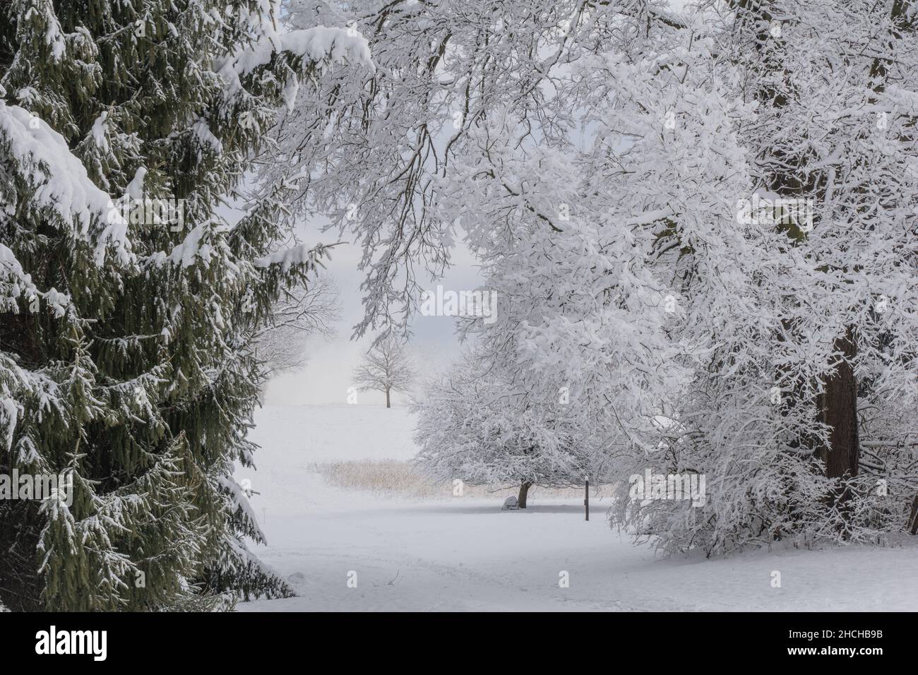 Paysage couvert de neige en Pennsylvanie rurale Banque D'Images