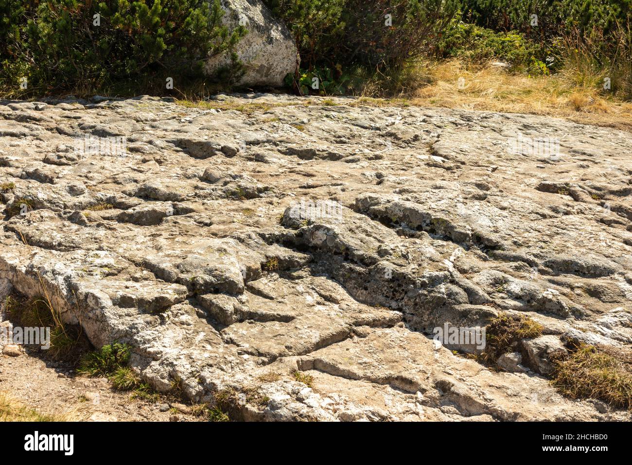 Stries glaciaires ou stries d'une surface de roche moutonnée ou d'une formation rocheuse de mouton, cirque glaciaire des lacs de Rila, montagnes de Rila, Bulgarie, Balkans Banque D'Images