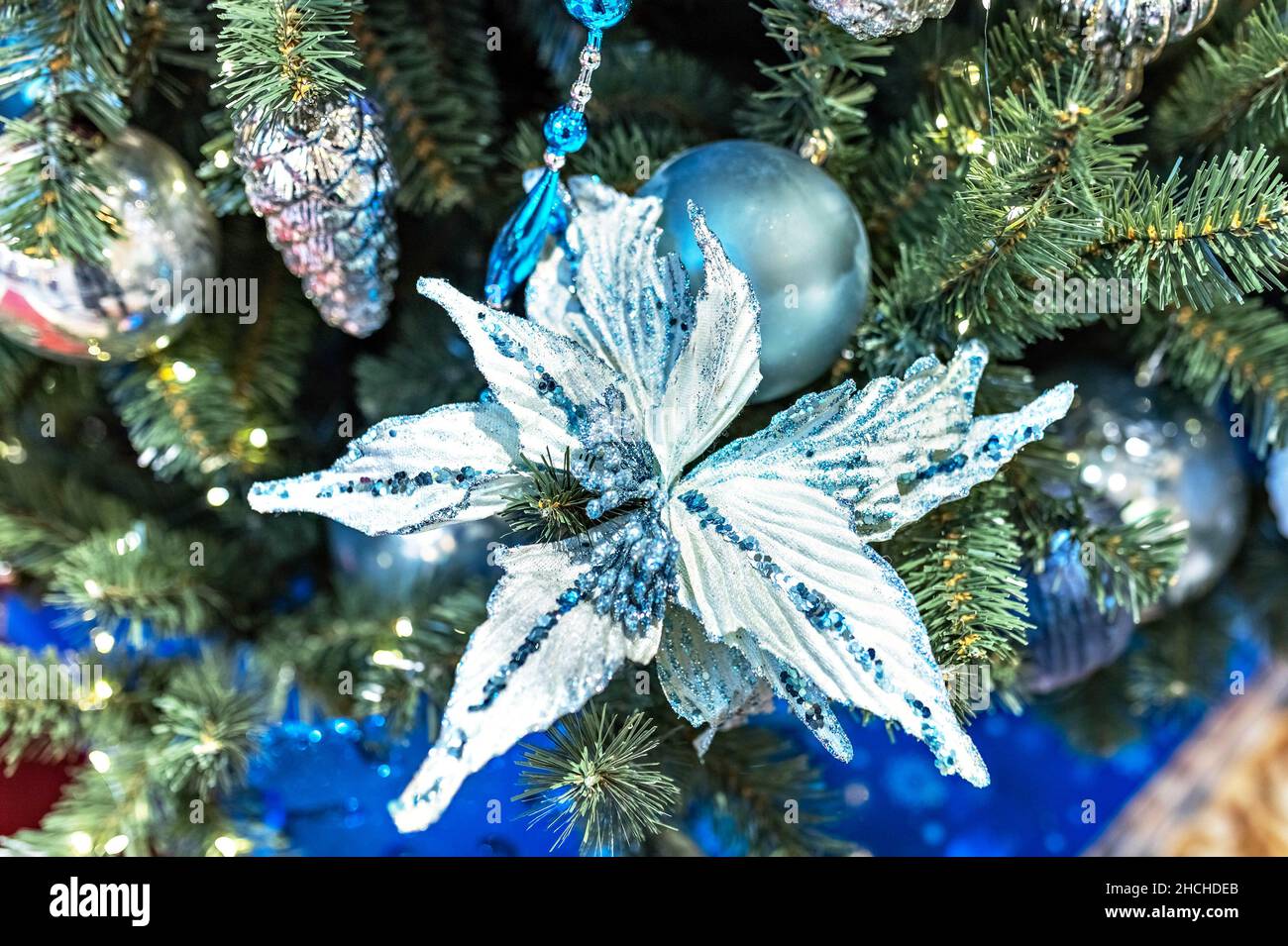 Arrière-plan de Noël d'un arbre de Noël décoré avec des jouets bleus de Noël et une fleur de Noël.Vacances d'hiver. Nouvel an Banque D'Images