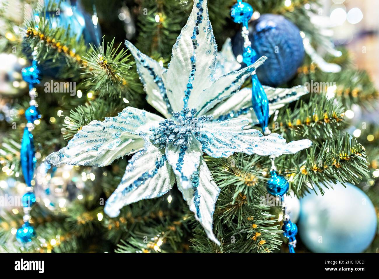 Arrière-plan de Noël d'un arbre de Noël décoré avec des jouets bleus de Noël et une fleur de Noël.Vacances d'hiver. Nouvel an Banque D'Images