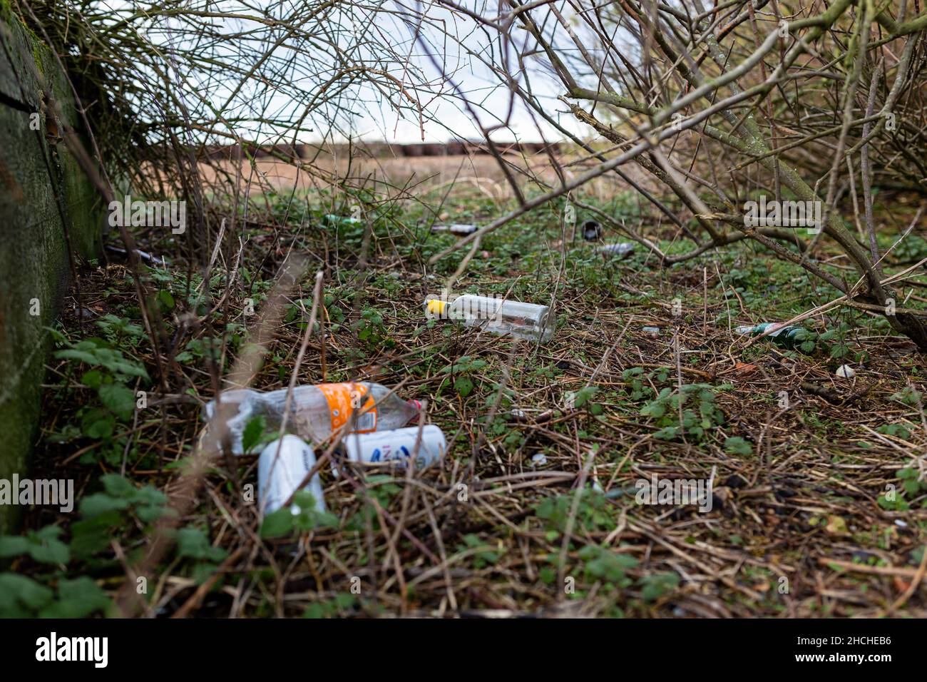 Bawdsey, Suffolk, Royaume-Uni janvier 06 2021 : déchets de litière et de déchets dans un endroit de beauté local près d'une plage.Litière, environnement, plage propre concep Banque D'Images