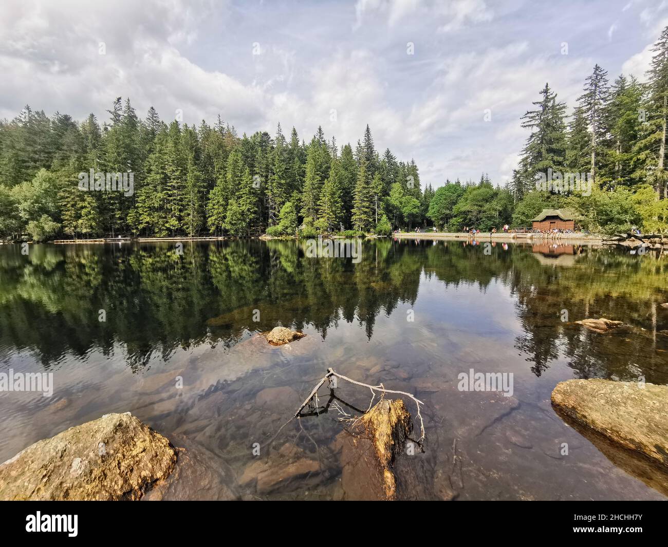 Belle photo du lac noir dans la forêt de Bohême pendant la journée Banque D'Images