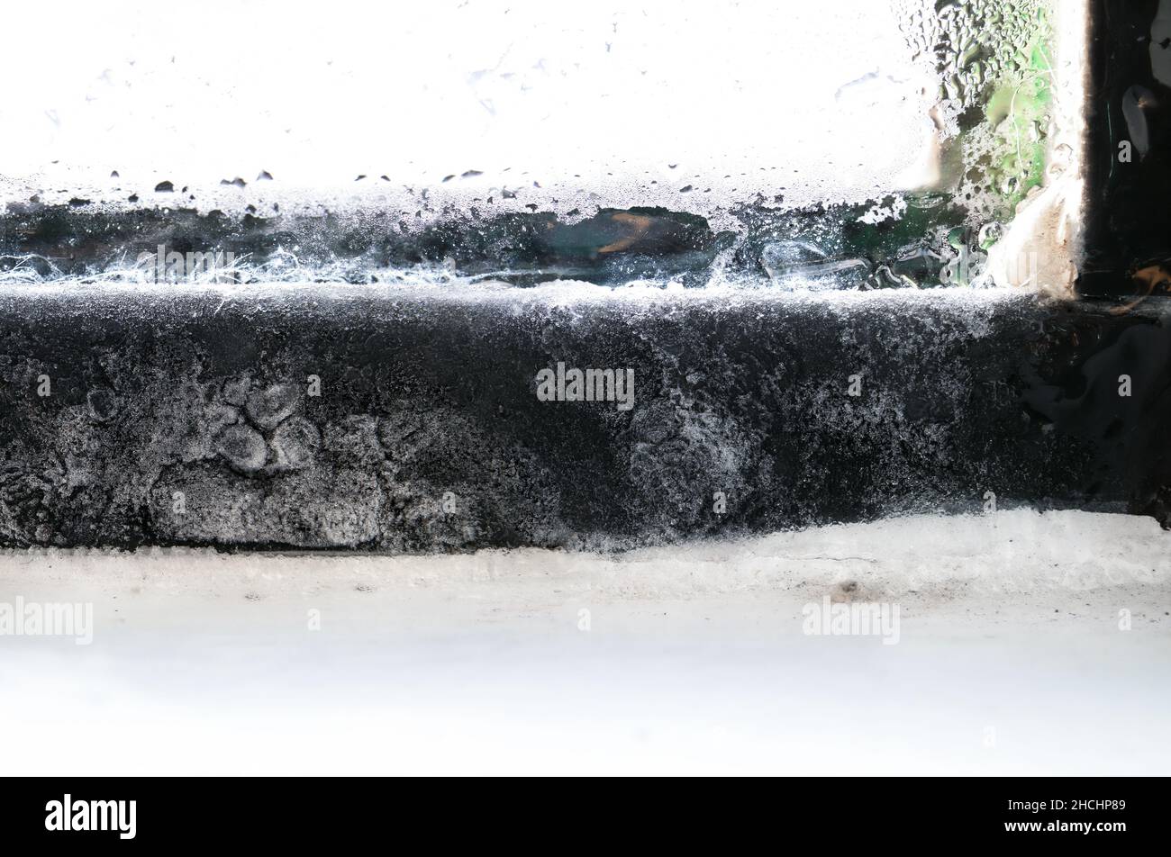 Condensation à l'intérieur du cadre de fenêtre gelé, gros plan.Accumulation de glace sur le cadre de fenêtre en métal noir en raison de l'humidité ou de la vapeur excessive dans la maison et freezi Banque D'Images Condensation à l'intérieur du cadre de fenêtre gelé, gros plan.Accumulation de glace sur le cadre de fenêtre en métal noir en raison de l'humidité ou de la vapeur excessive dans la maison et freezi Banque D'Images