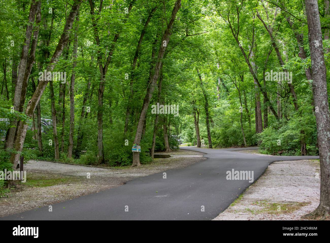 Terrain de camping à l'aire de loisirs du lac Cumberland Kendall, Kentucky Banque D'Images