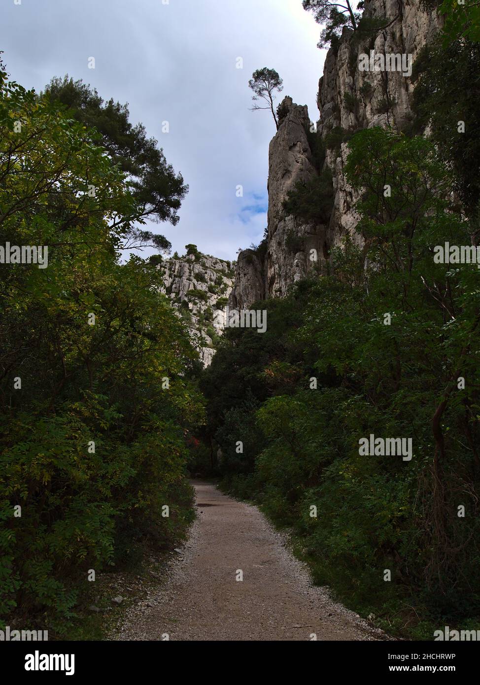 Sentier de randonnée dans une gorge entourée d'une végétation dense dans le parc national de Calanques près de Cassis, Côte d'Azur sur la côte méditerranéenne. Banque D'Images