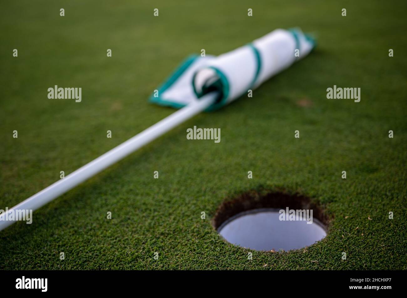 D'un bâton de golf sur une herbe verte Banque D'Images