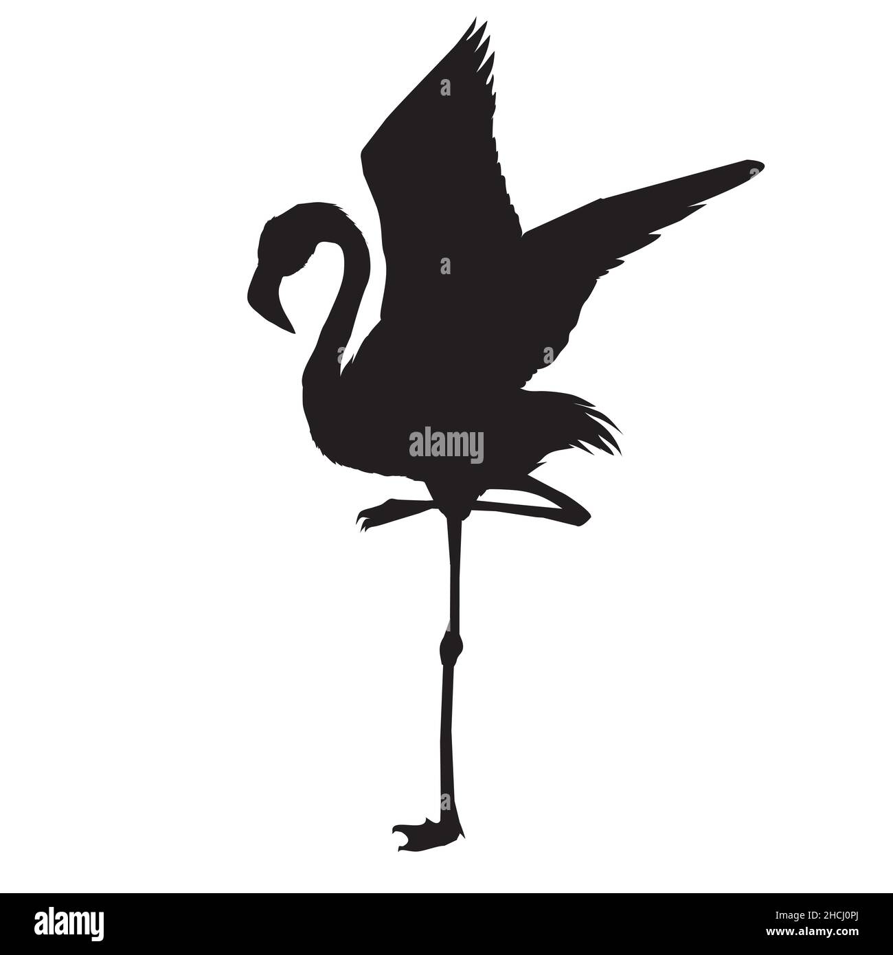 Silhouette Flamingo , fichier vectoriel d'oiseau, illustration Illustration de Vecteur