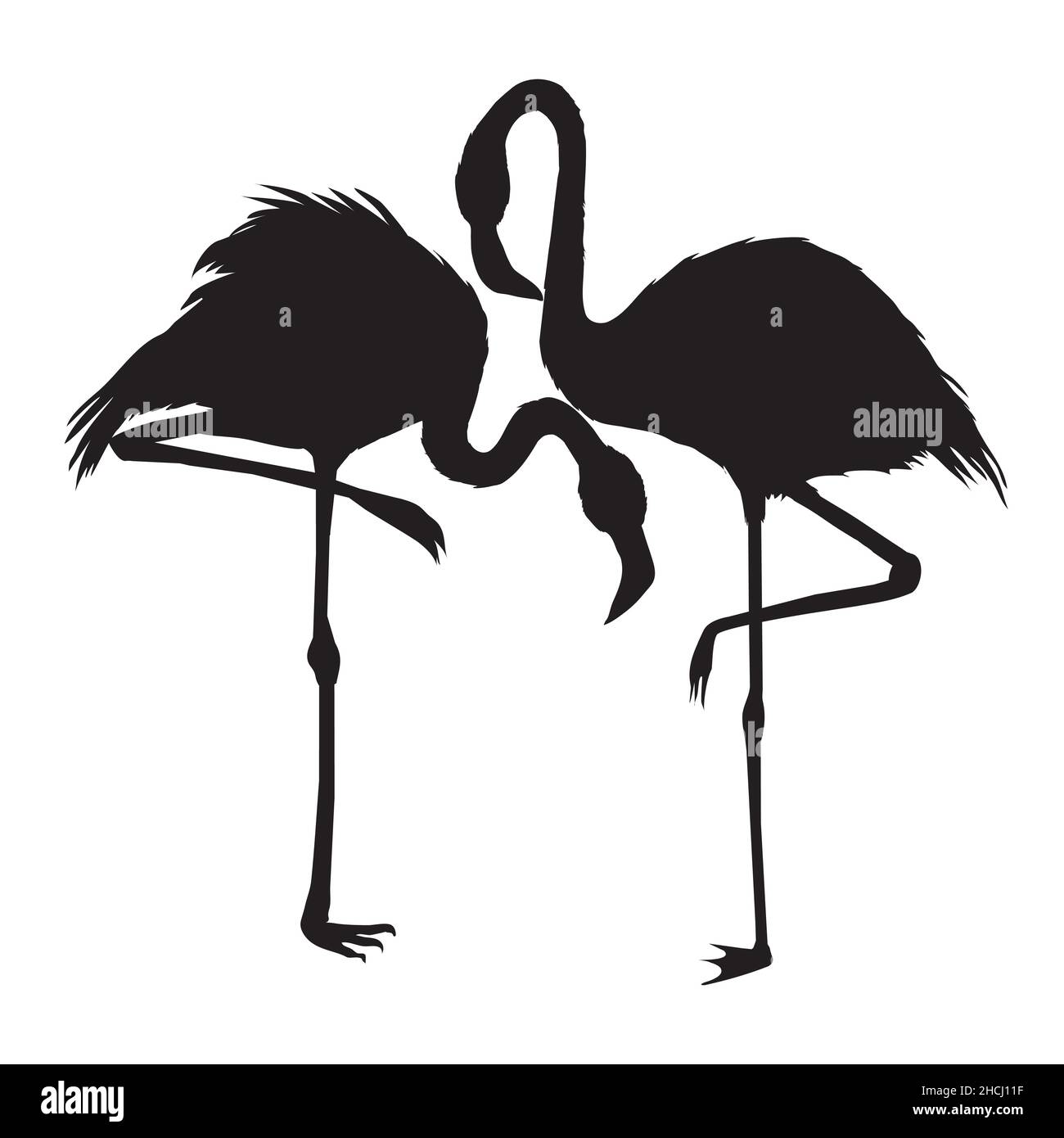 Silhouette Flamingo , fichier vectoriel d'oiseau, illustration Illustration de Vecteur