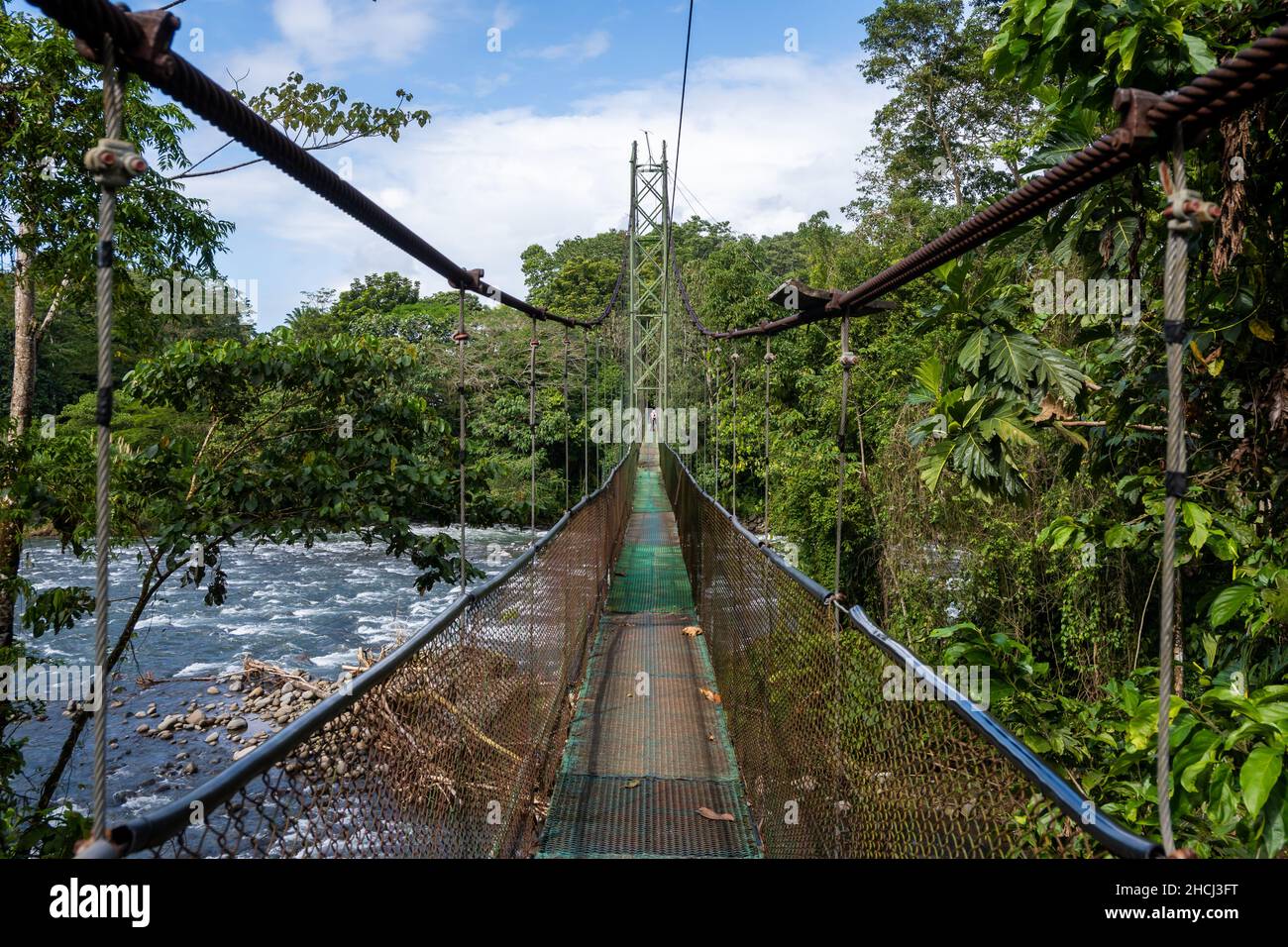 Pont suspendu dans la réserve de la forêt tropicale de Tirimbina.Sarapiquí, Heredia, Costa Rica, Amérique centrale. Banque D'Images
