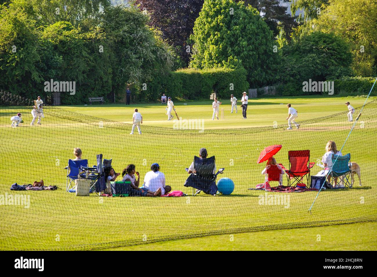 Match de cricket sur vert, Oxted, Surrey, Angleterre, Royaume-Uni Banque D'Images