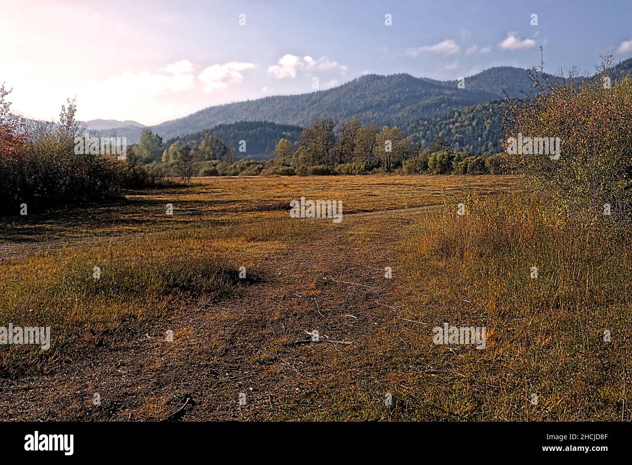 Lac Cerknica en Slovénie Banque D'Images