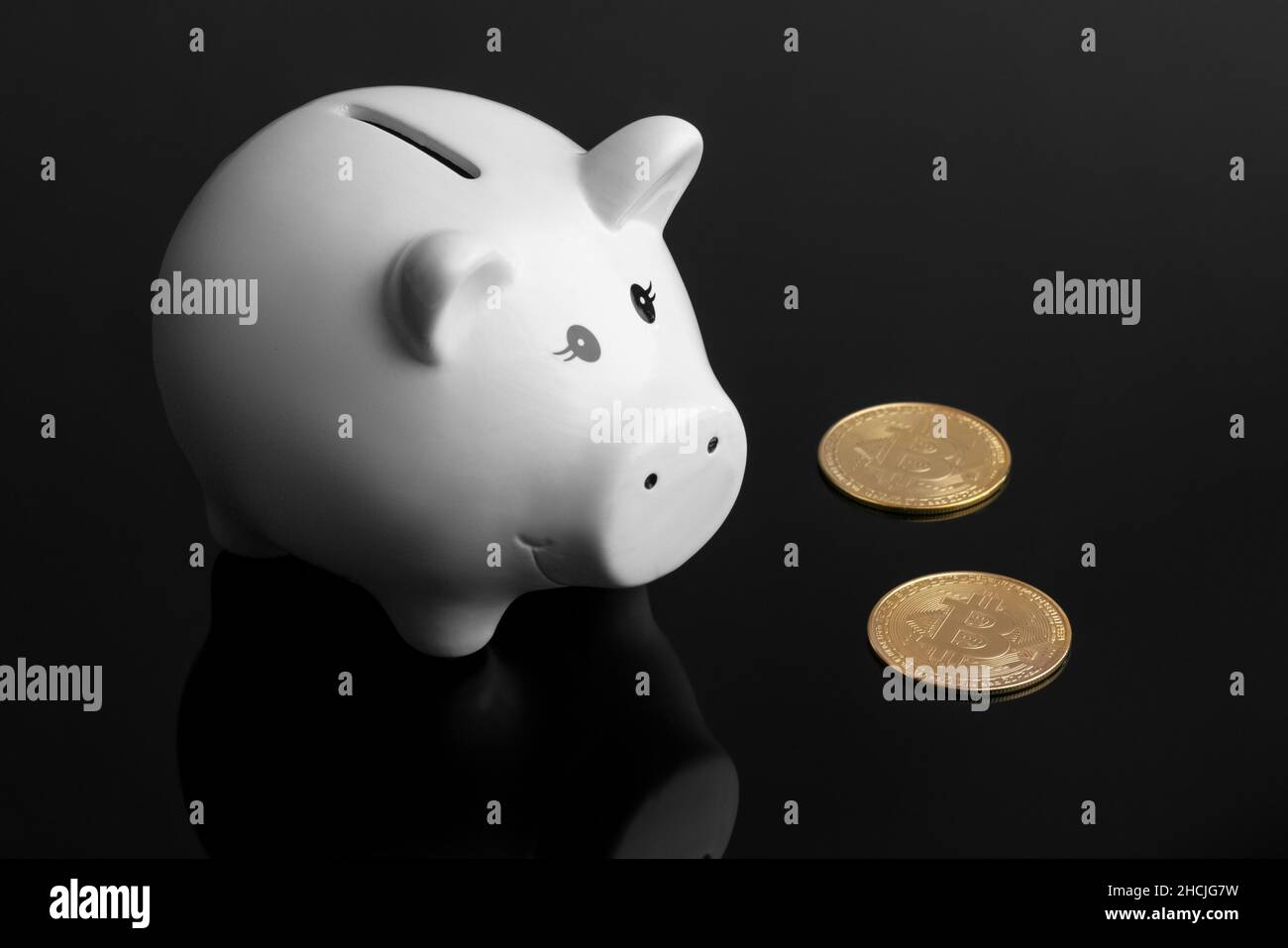 Photo de studio de tirelire blanche et de deux bitcoins dorés sur une surface réfléchissante très sombre.Concept pour portefeuille crypto, argent électronique, crypto Banque D'Images