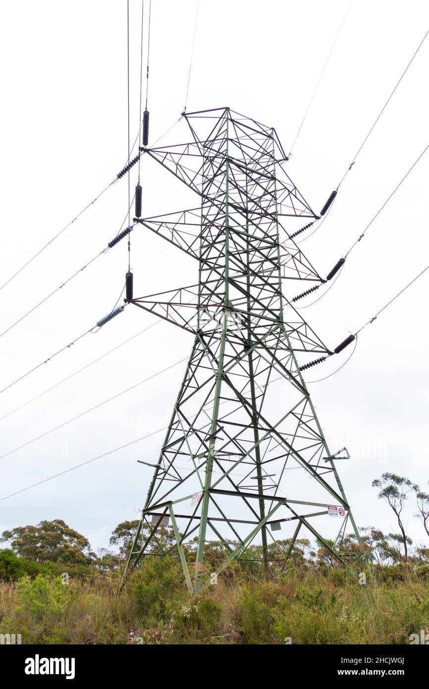 Photographie d'une grande tour de transmission électrique en acier près d'une route de terre dans une forêt contre un ciel gris nuageux Banque D'Images