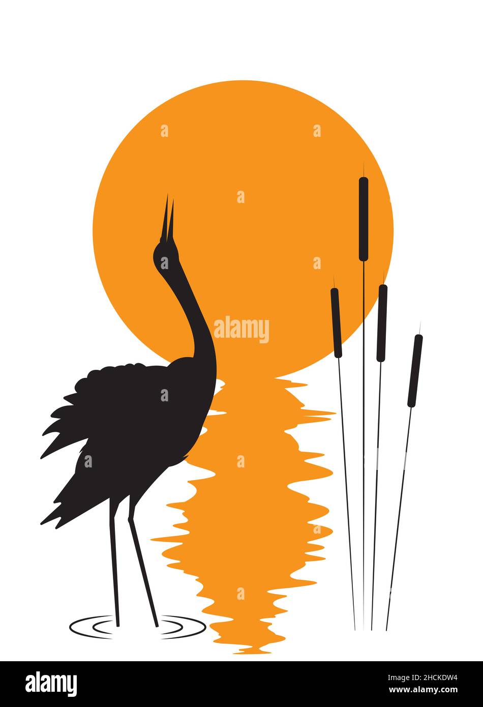 Silhouette de grue rouge couronnée au coucher du soleil isolée sur fond blanc, vecteur.Grue rouge couronné oiseau par étang et plantes d'étang, illustration.De artistique Illustration de Vecteur