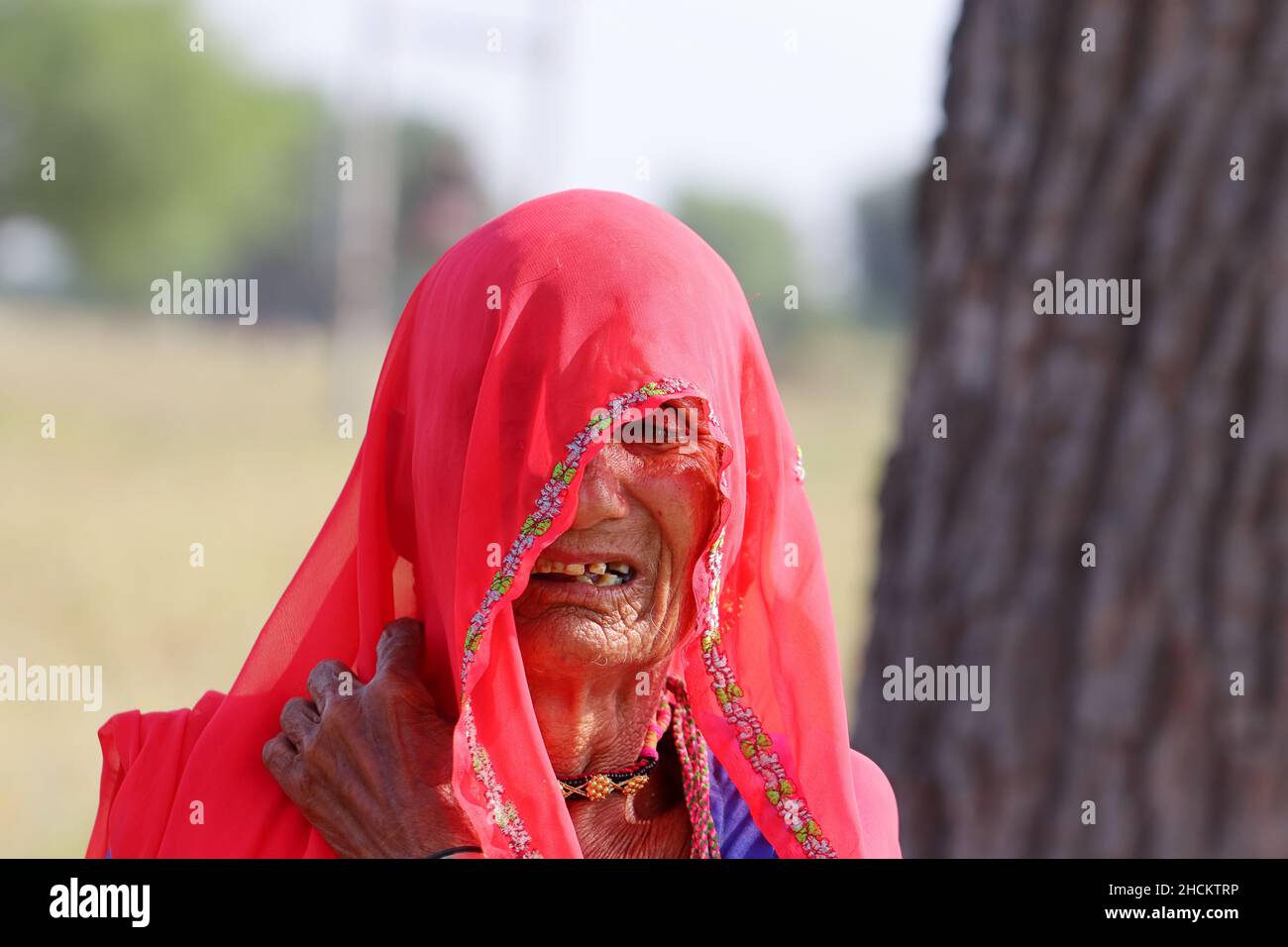 Femme indienne portant un voile Banque de photographies et d'images à haute  résolution - Alamy