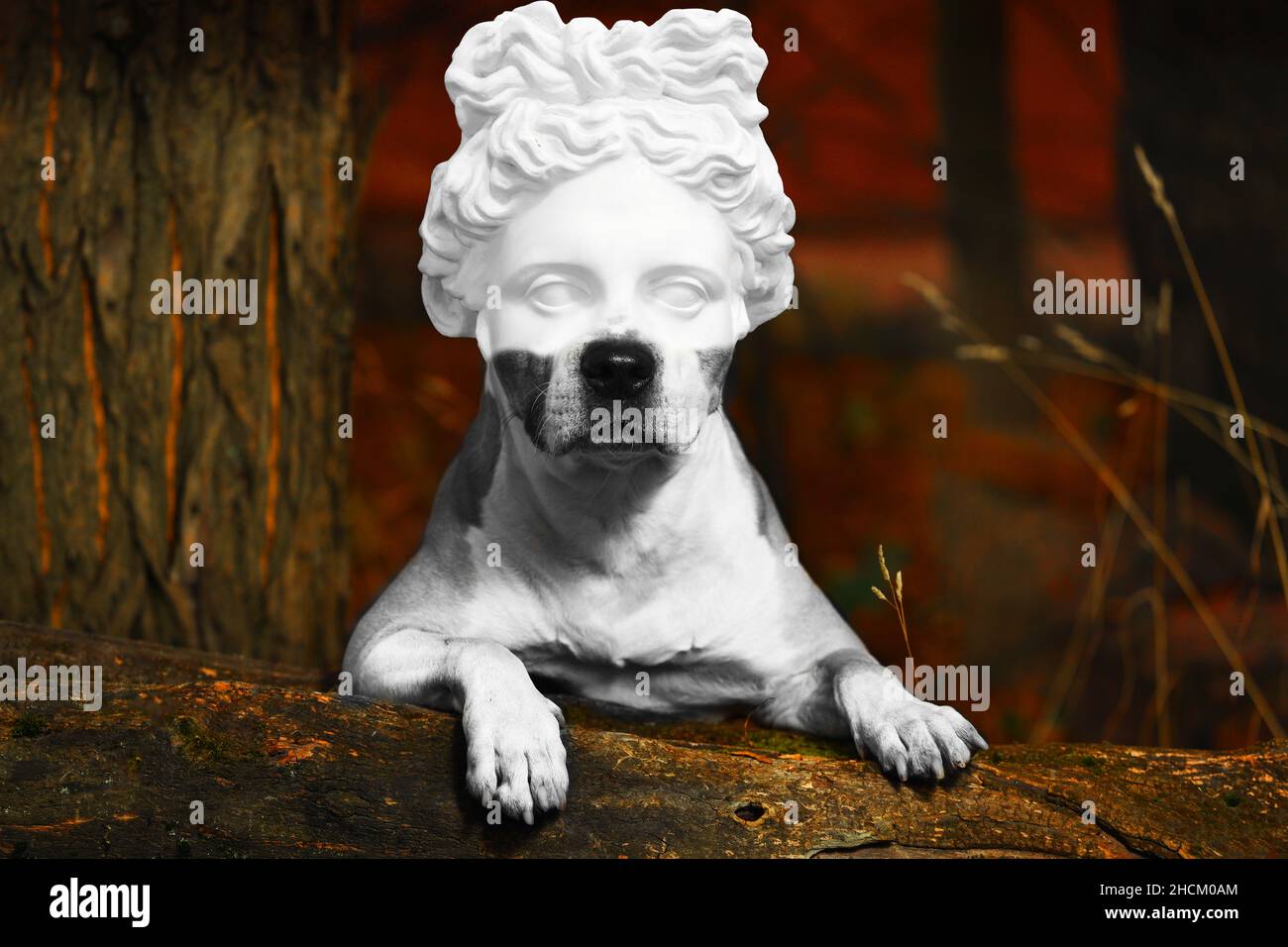 PIT Bull Terrier chien avec une tête de statue en plâtre dans la nature.Photo de haute qualité Banque D'Images
