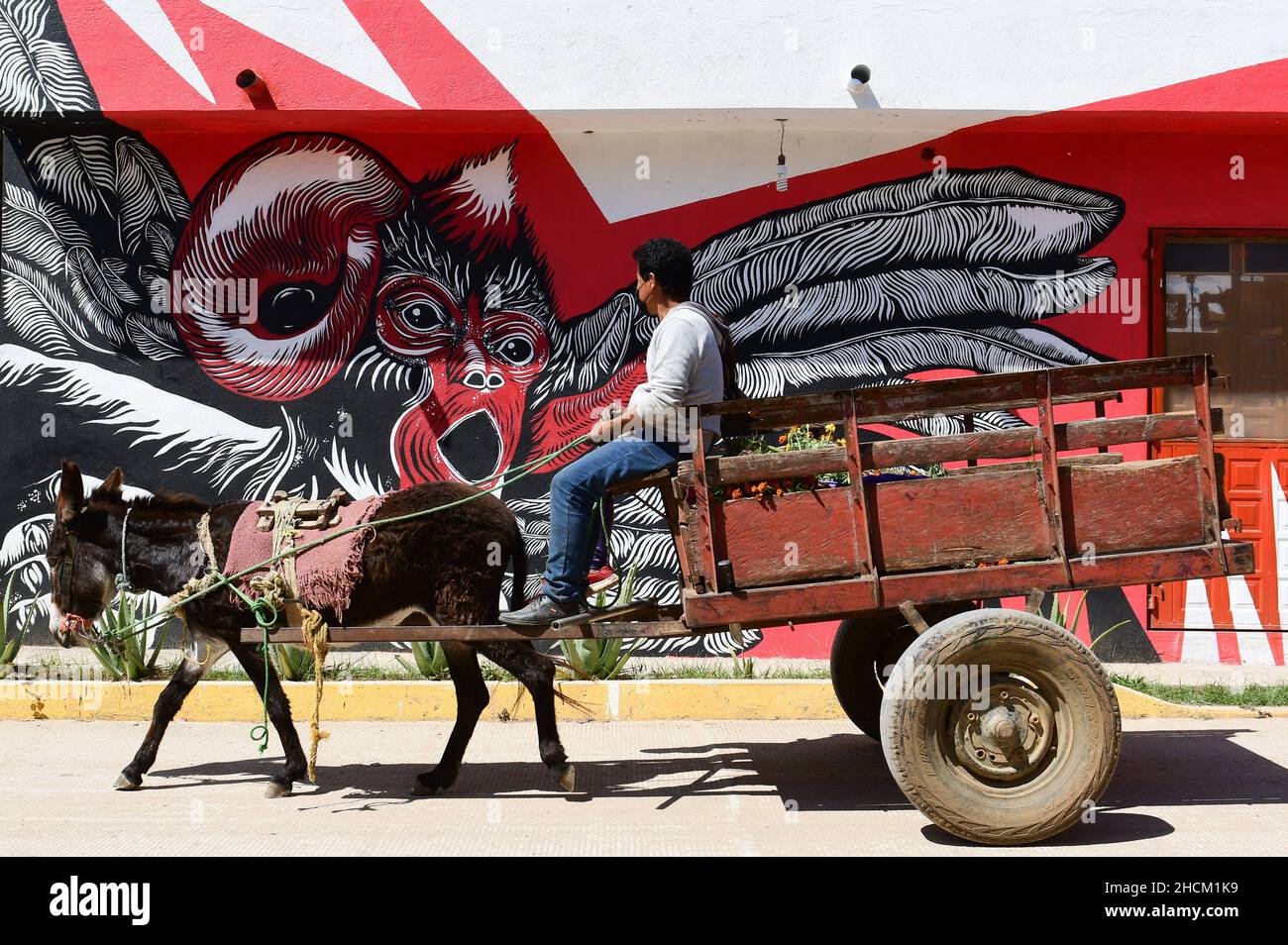 San Martin Tilcajete, Mexique.01st novembre 2021.Un homme passe devant un graffito à bord d'un âne.Credit: Sebastian Kahnert/dpa-Zentralbild/dpa/Alay Live News Banque D'Images