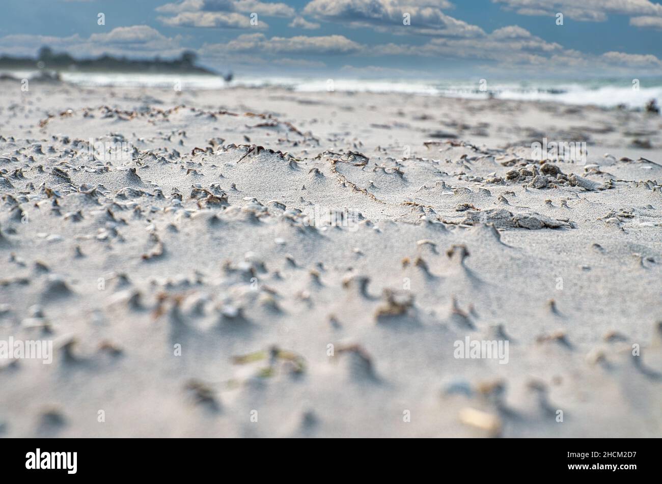 Vagues sur la plage de la mer Baltique.Les vagues laissent un modèle dans le sable.Les coquilles, poncer en gros plan Banque D'Images