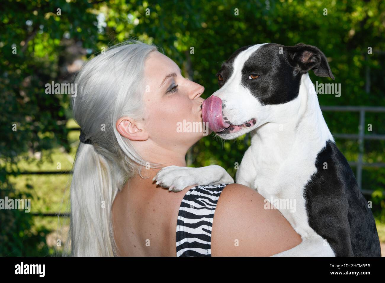 Un adorable chien embrassé donne à sa femme un joli baiser humide. Banque D'Images