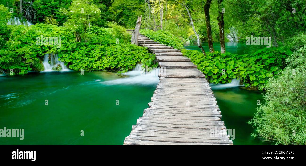 Scène de longue exposition dans une belle forêt verte, avec de petites cascades et un feuillage d'été vert luxuriant dans le parc national des lacs de Plitvice, Croatie. Banque D'Images