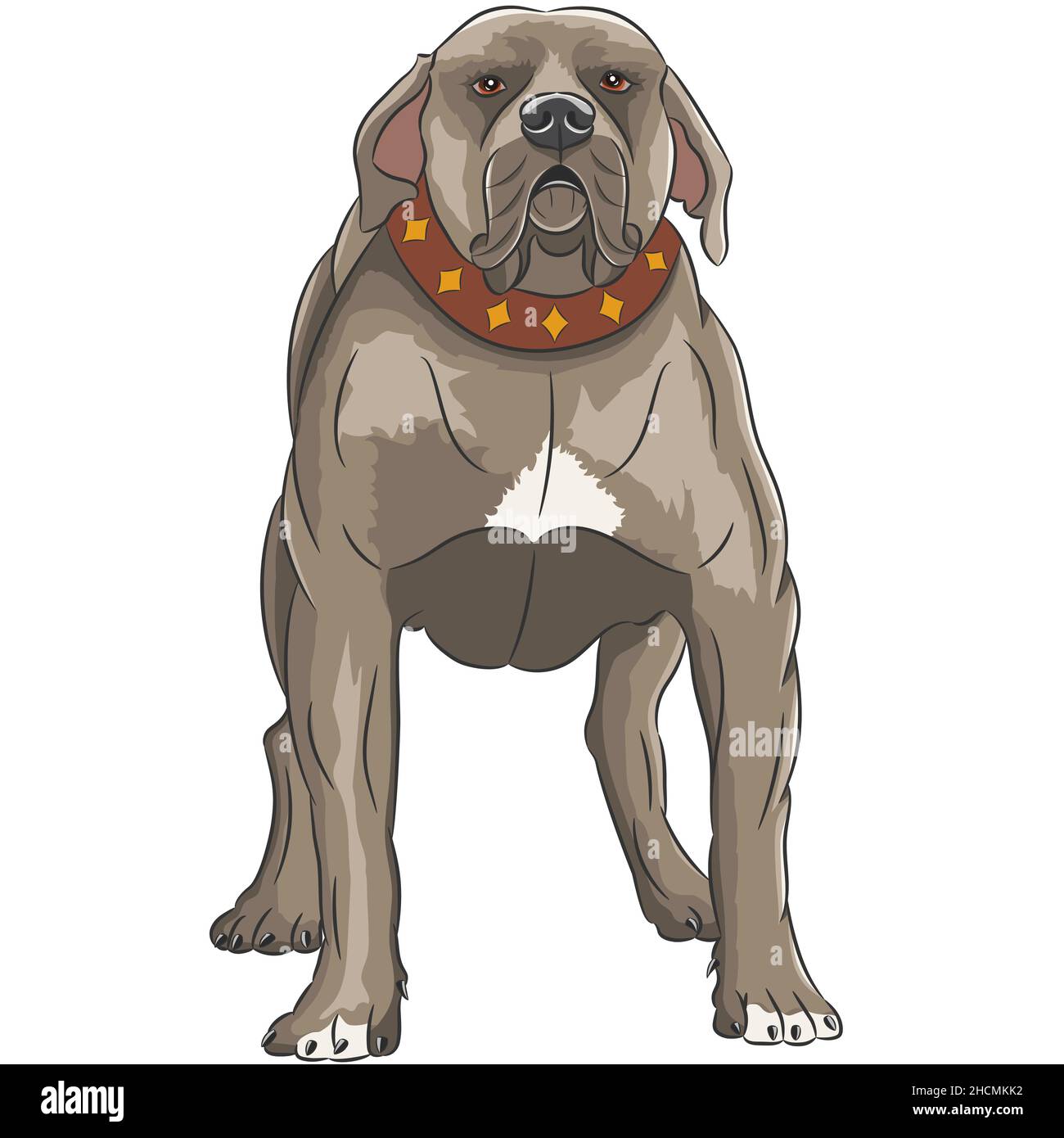 English Staffordshire Bull Terrier avec un collier rouge.Illustration vectorielle. Illustration de Vecteur
