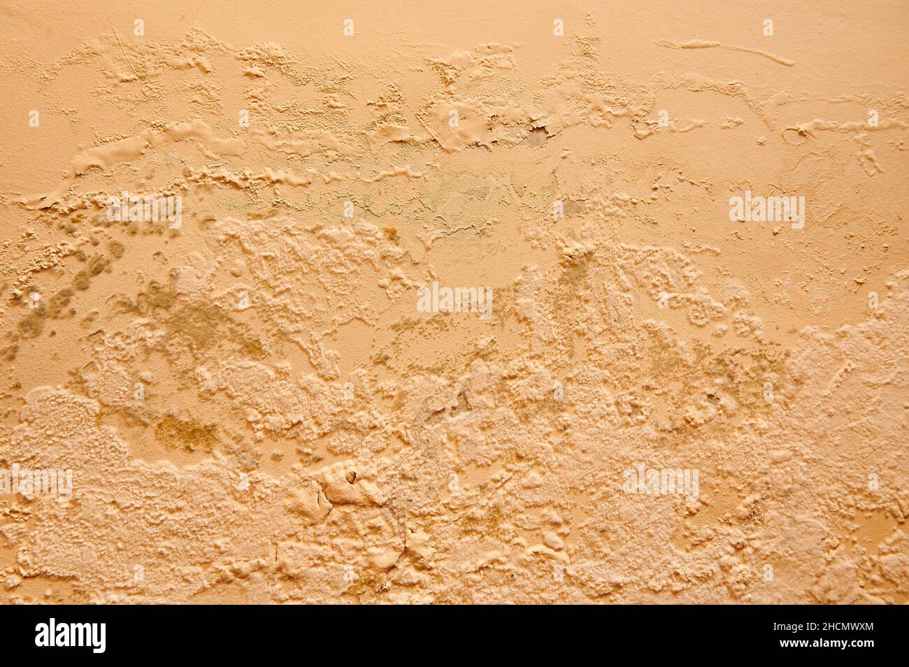 Une humidité excessive provoque la moisissure et l'écaillage des murs de peinture, comme des fuites d'eau de pluie. Banque D'Images