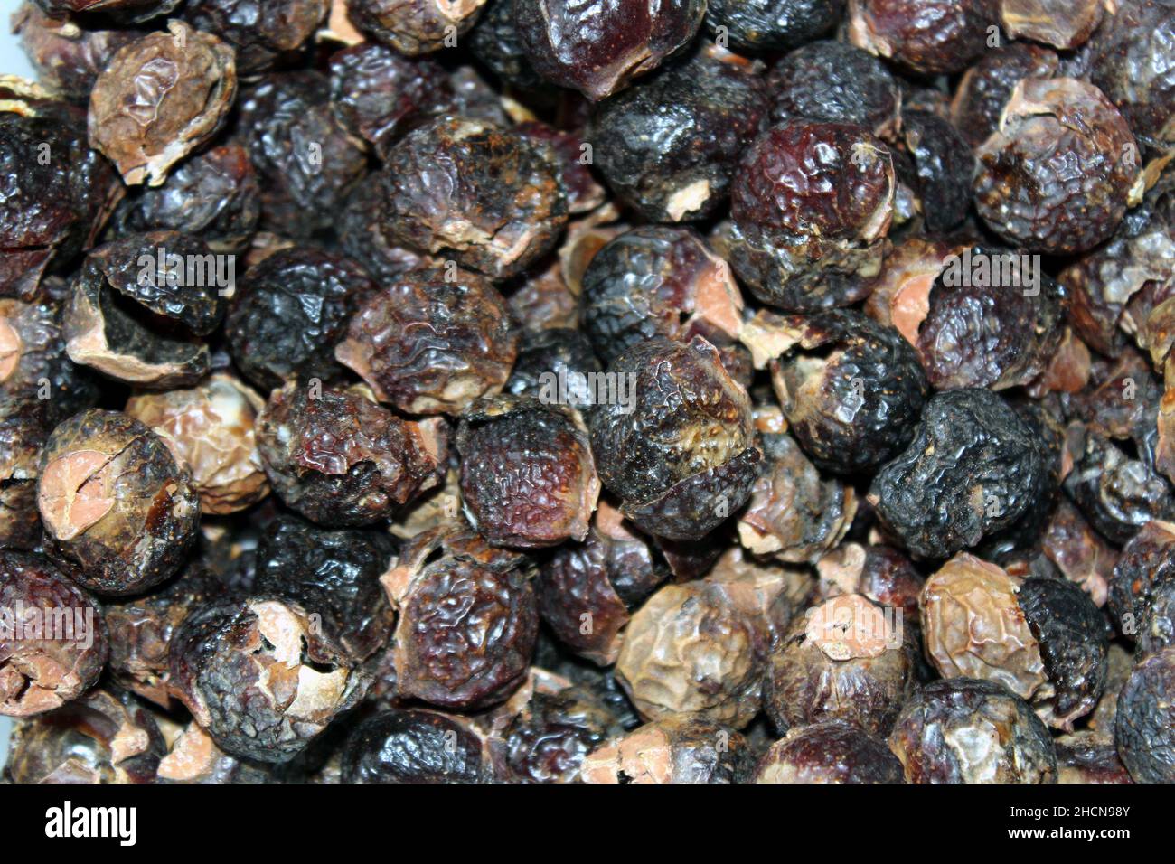 Sapindus mukorossi ou savonneuse indienne. De nombreuses noix de savon prêtes à être utilisées en machine à laver Banque D'Images